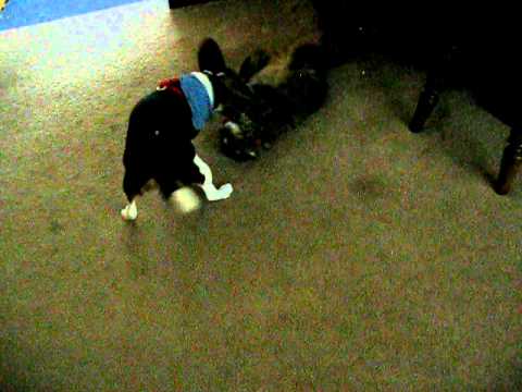 July 2012011 Mercedes & Obie play 037