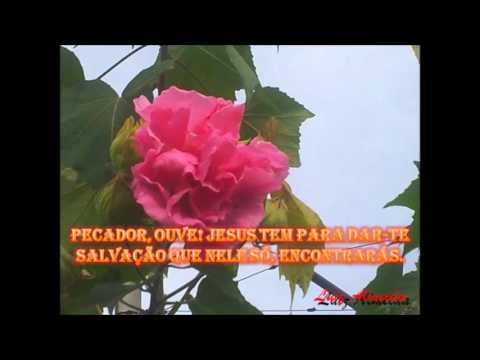 Harpa Cristã - 162 - O Estandarte da Verdade - Cantado