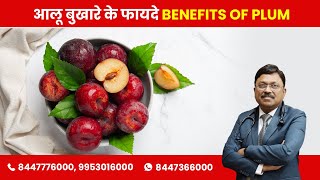 Download lagu Plum (Aloo Bhukare): Know the benefits! | By Dr. Bimal Chhajer | Saaol mp3 Download lagu Plum (Aloo Bhukare): Know the benefits! | By Dr. Bimal Chhajer | Saaol mp3