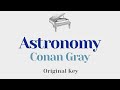 Astronomy - Conan Gray (Original Key Karaoke) - Instrumental Cover with Lyrics