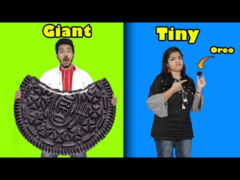 Giant Food Vs Tiny Food Challenge | Food Challenge India | Hungry Birds Challenge