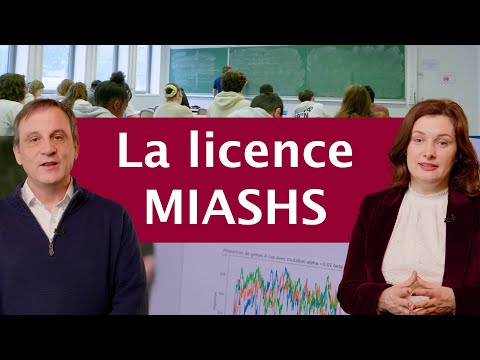 Bachelor's degree in Mathematics and Computer Science Applied to the Humanities and Social Sciences