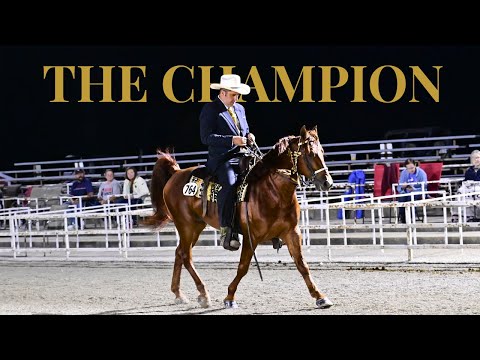 The Manifestation Of A Champion - MFTHBA World Show & Celebration 2025