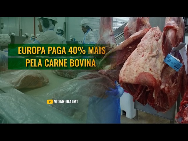EUROPA PAGA 40% MAIS PELA CARNE BOVINA