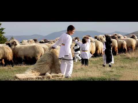 Viata de cioban - Melodii de ciobanie - Colaj NOU 2018