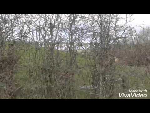 Loch doon via viaduct and Patna