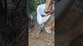 Download lagu Alat Pertanian Kreatif Penabur Pupuk Tanaman mp3