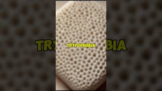 Download lagu #foryou #viralvideo #trypophobia #phobia #test mp3 Download lagu #foryou #viralvideo #trypophobia #phobia #test mp3