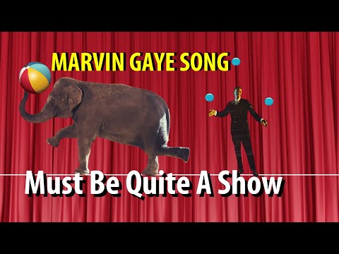 Thumbnail for Marvin Gaye Must Be Quite A Show (unreleased) by Tammi Terrell