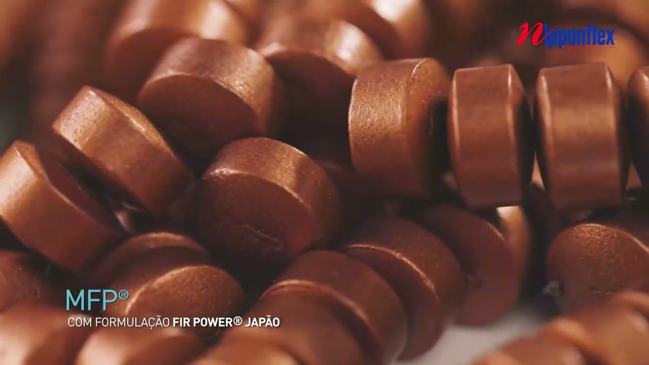 Institucional Nipponflex 2022