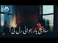 Sadi Yar Jawani Rul Gayi Slowed Reverb Sad Saraiki Song By Tahir Mehmood Nayyer