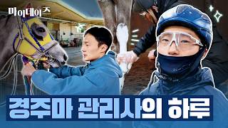 경주마를 키우는 사람은 따로 있어요! 🐴 말 관리사를 소개합니다 ㅣ 마사회 브이로그