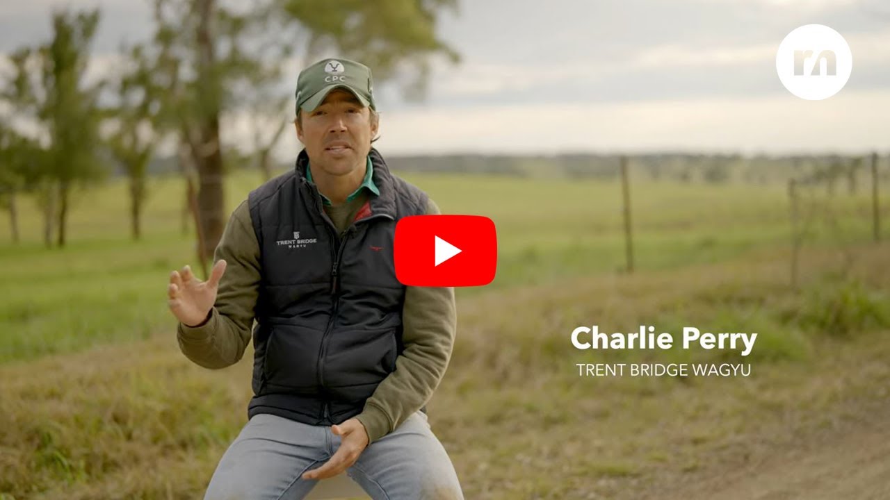 Building a Legacy | Roberts + Morrow Client Testimonial