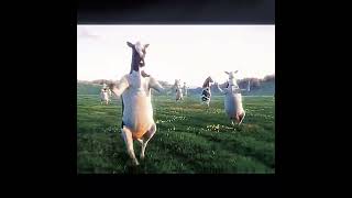 WAKE UP! its the first of the month| #capcut #first #firstofthemonth #cow #dancingcow #edit #cows