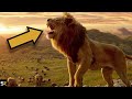 The Mufasa The Lion King Ending Explained