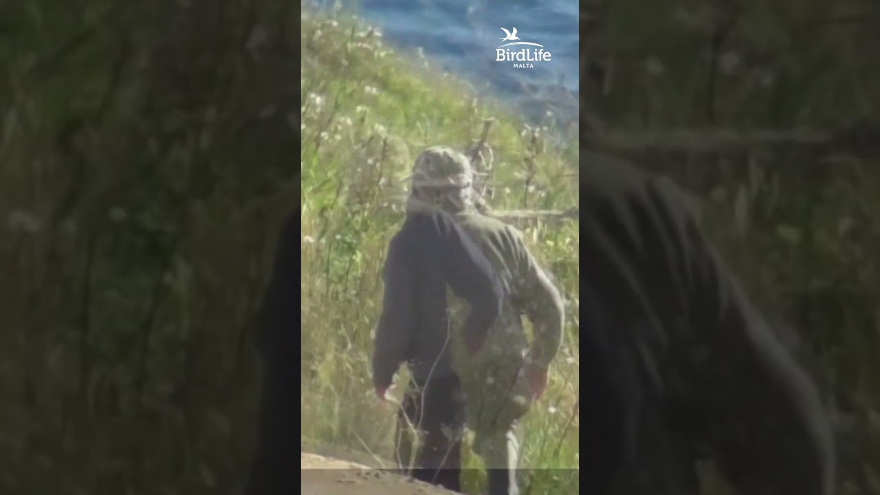 Hidden trapping activity