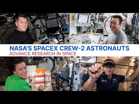 NASA’s SpaceX Crew 2 Astronauts Advance Research in Space