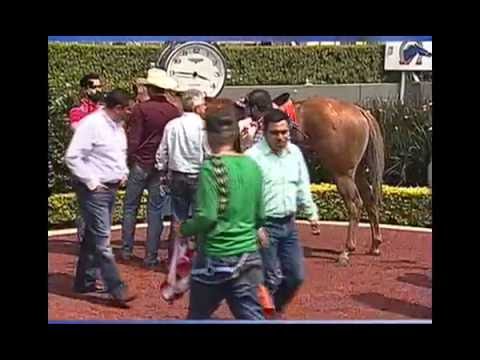 Carrera 3 Domingo 26 de Junio de 2016 | Futurity Garañones 2016