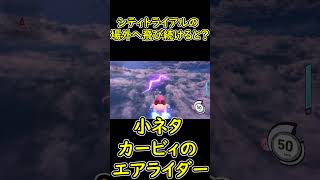 シティトライアルの場外の先までずっと飛び続けると？　【カービィのエアライダー】　小ネタ　検証