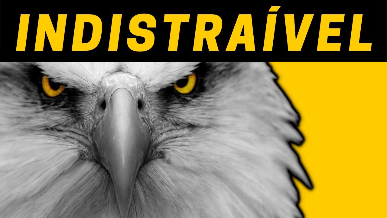 Indistraível: Como Dominar Sua Atenção e Controlar Sua Vida