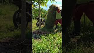 Download lagu #fyp mp3