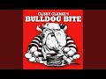 Bulldog Bite (Hunker Down Hairy Dawgs)