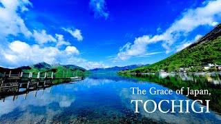 The Grace of Japan, TOCHIGI Digest