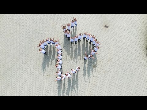 Pferdeklinik Bargteheide - Zusammen | 25 Jahre PKB