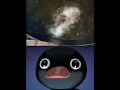 Noot Noot Meme Shorts Memes Fyp Pingu