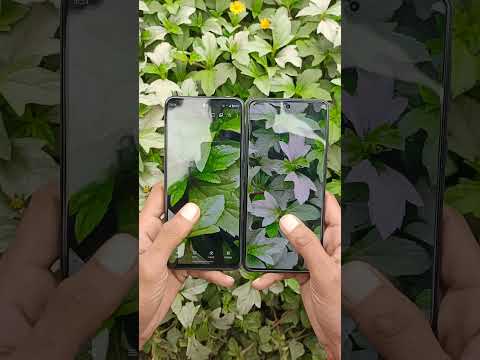 #Motorola G45 5G VS #Samsung galaxy M55S #camera test #camera comparison #viralshorts2024