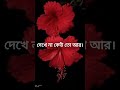 Coke Studio Bangla Long Distance Love Ankan X Afrin Long Distance Love WhatsApp Status