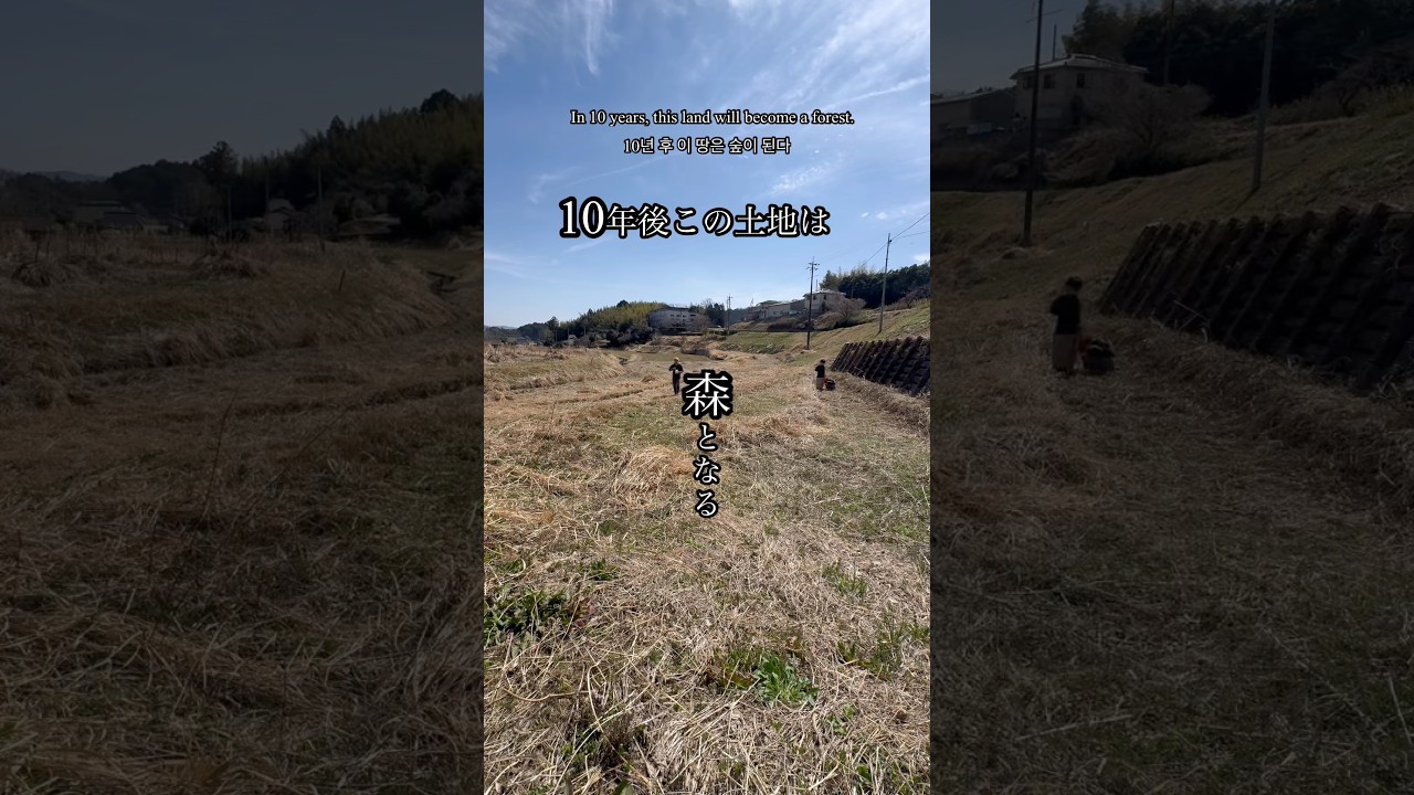 アナスタシア一族の土地、半分を森に還すことで多大な恩恵を受ける、自然との共存で受ける無償の愛をは無限大