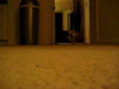 En garde, I'll let you try my Wu-Tang style