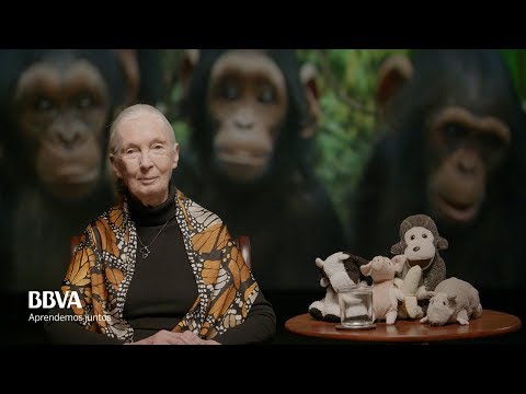 Versión Completa. Lecciones de vida de un espíritu indomable. Jane Goodall, primatóloga