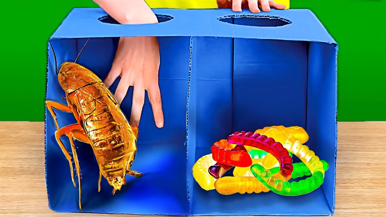 ЧЕЛЛЕНДЖ ЗАГАДОЧНАЯ КОРОБКА ПОПУЛЯРНЫЕ ЧЕЛЛЕНДЖИ, ИГРЫ И ЭКСПЕРИМЕНТЫ ИЗ TIKTOK