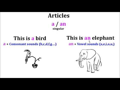 Indefinite Articles: a/an