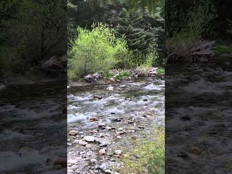Pesca con mosca en el río Bonito, Villa La Angostura, Neuquén, Patagonia, Argentina