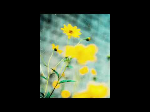 Stoilku - Legea Universului