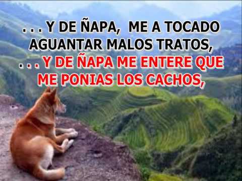 TE COGI LA MALA PAOLA JARA KARAOKE LETRA