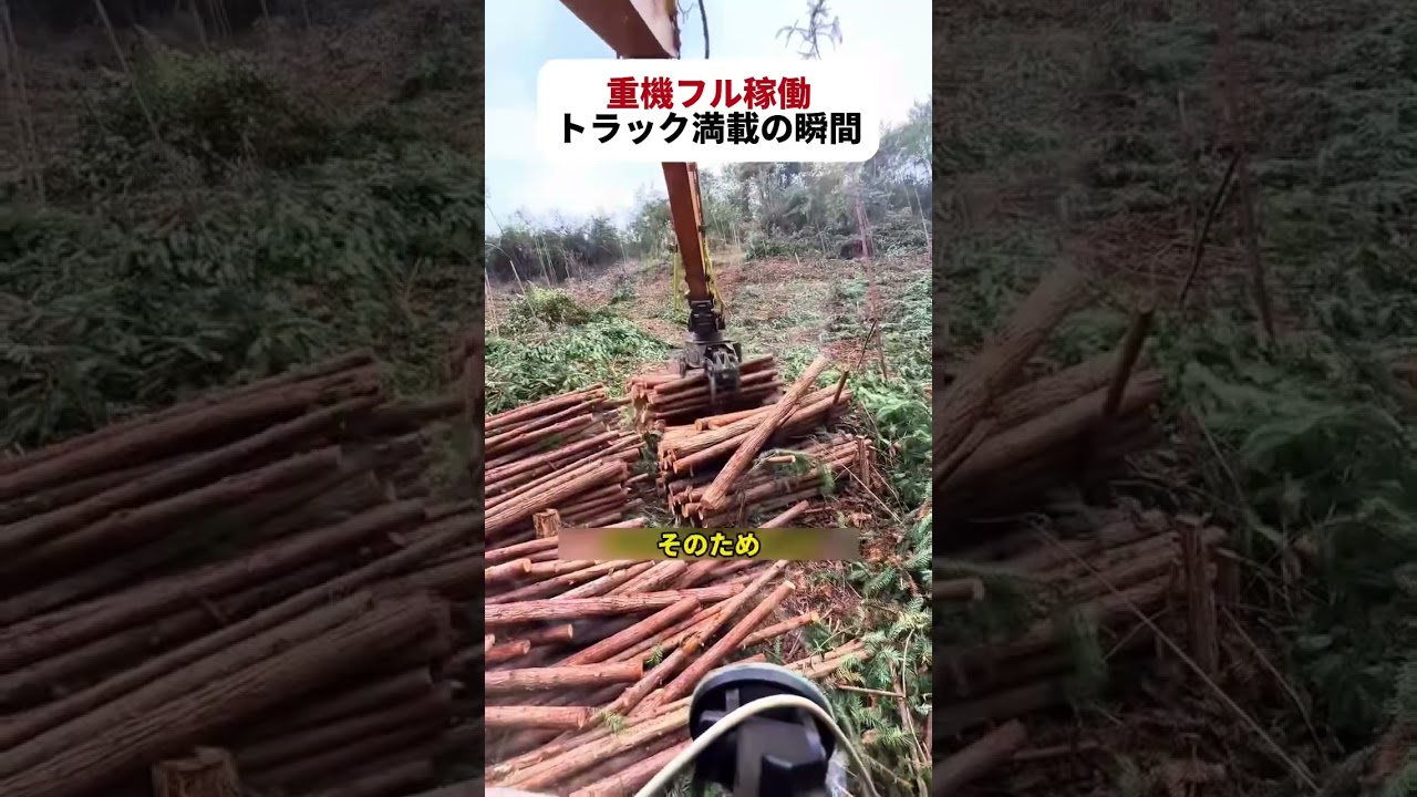 重機フル稼働！ トラック満載の瞬間！    #伐採作業 #重機オペレーター #木材積み込み #大型トラック #現場作業員
