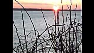 days of the new-face of the earth