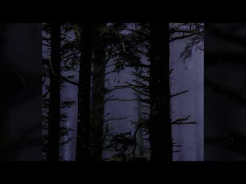 [FREE] DARK HARD PHONK x SUICIDEBOYS TYPE BEAT - "DEATH TRAIN" | [prod. MAJZKLUANI]