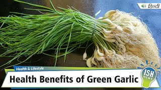 Health Benefits of Green Garlic