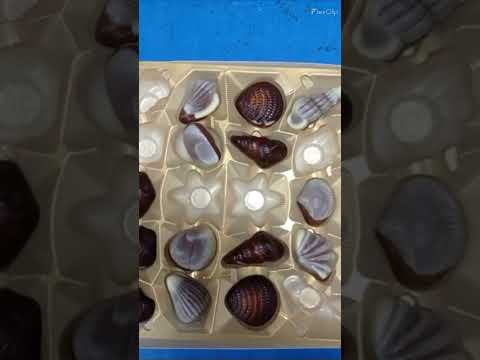 Belgian Chocolate Seashells || Best Chocolate #youtubeshorts #shorts #viral