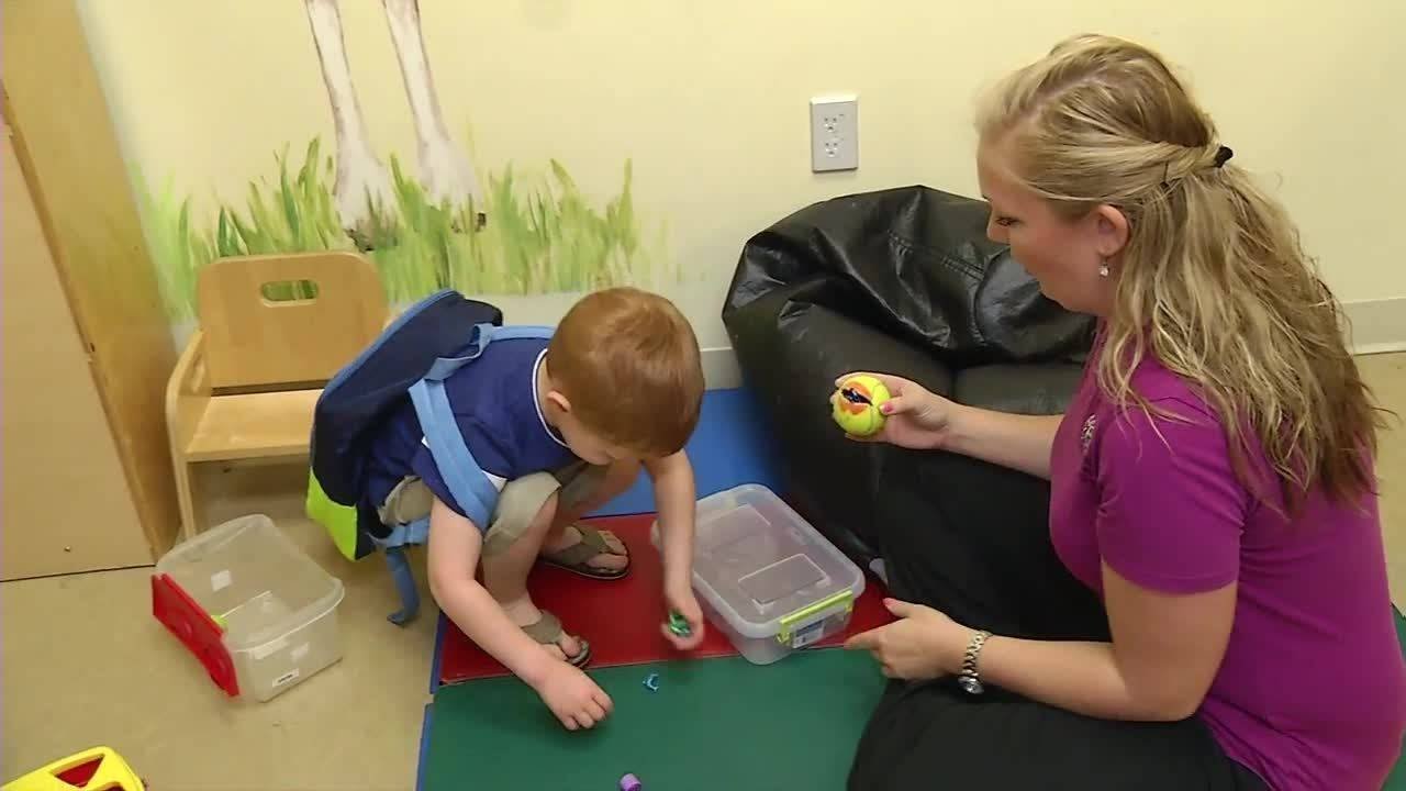 Early Autism intervention program