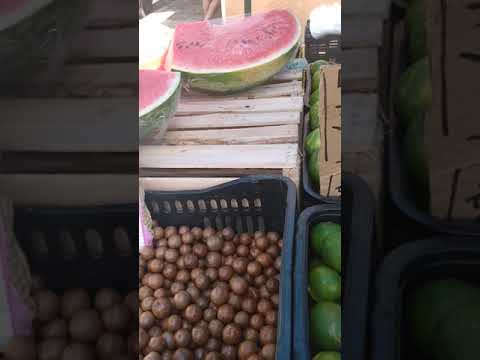 Conheça a feira livre de Mococa SP