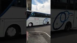 Download lagu Pertama Kali Ketemu Bus Sari Giri!!?? mp3