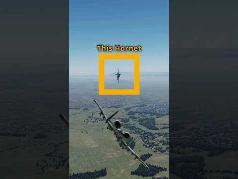 The A-10 can Dogfight! Sort of... #dcs #simulation