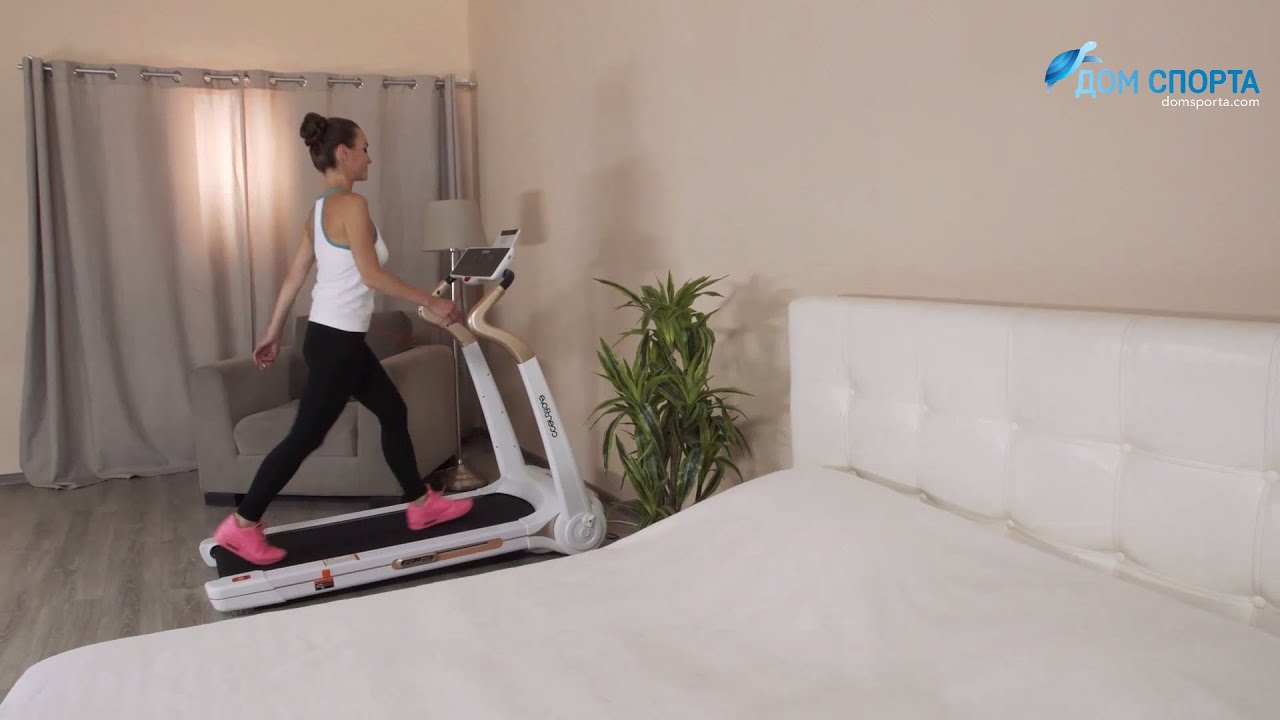 Evo fitness cosmo. Магнитный ключ на беговую дорожку evofitness 450x.