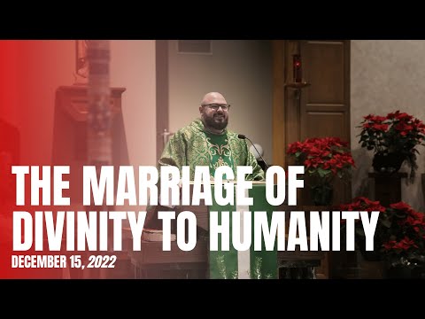 The Unfolding of the Great Mystery - Fr. Patrick Schultz